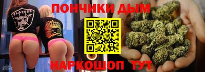 индика Рузаевка