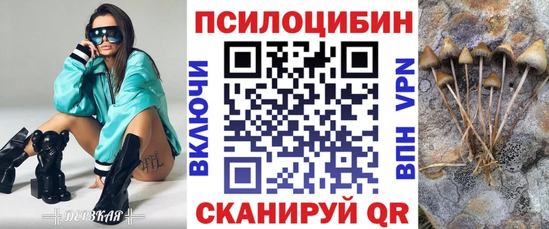 Псилоцибиновые грибы Psilocybine cubensis  закладка  Саки 